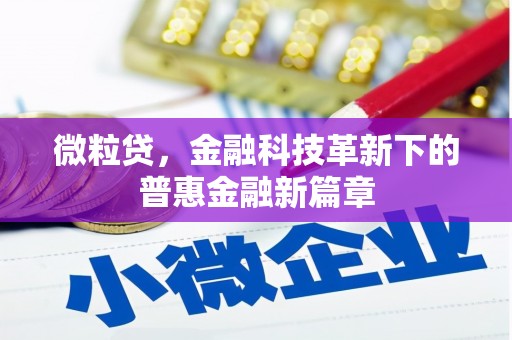 涵江微粒贷，金融科技革新下的普惠金融新篇章