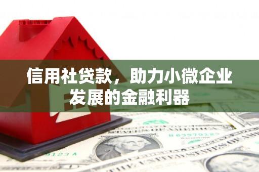 涵江信用社贷款，助力小微企业发展的金融利器