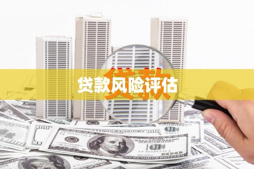 涵江贷款风险评估
