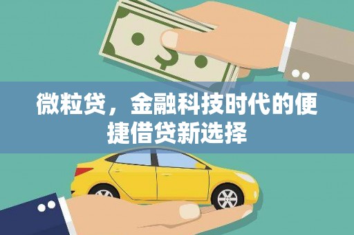 涵江微粒贷，金融科技时代的便捷借贷新选择