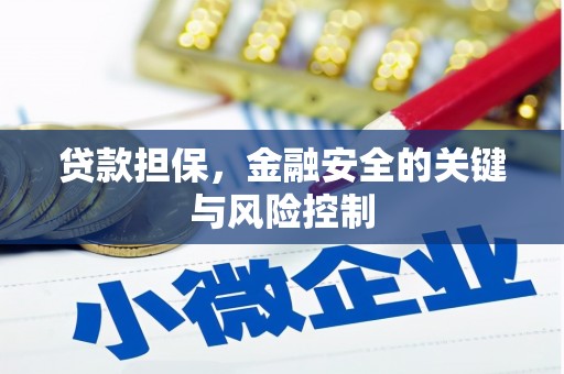 涵江贷款担保，金融安全的关键与风险控制