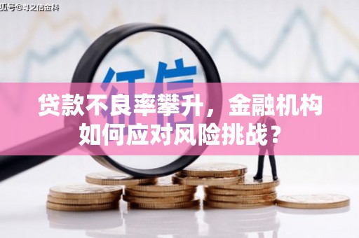 涵江贷款不良率攀升，金融机构如何应对风险挑战？