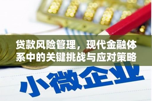 涵江贷款风险管理，现代金融体系中的关键挑战与应对策略