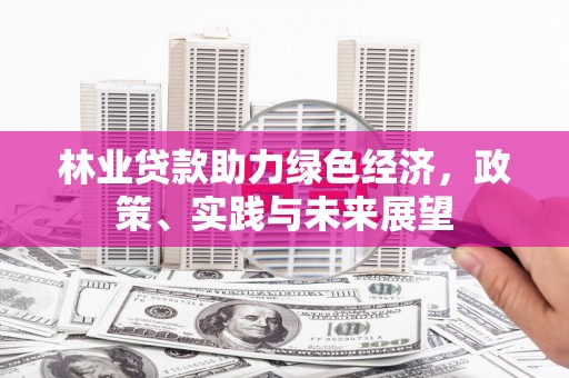 涵江林业贷款助力绿色经济，政策、实践与未来展望