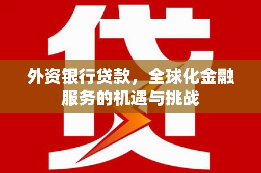 涵江外资银行贷款，全球化金融服务的机遇与挑战
