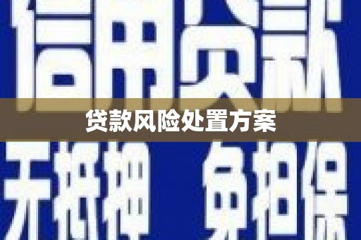 涵江贷款风险处置方案