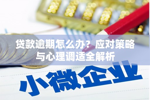涵江贷款逾期怎么办？应对策略与心理调适全解析