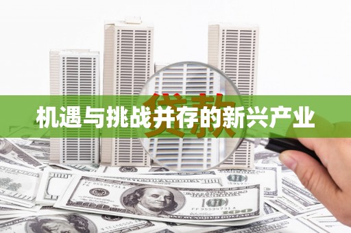 涵江机遇与挑战并存的新兴产业