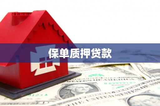 涵江保单质押贷款