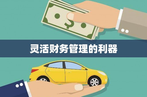 涵江灵活财务管理的利器