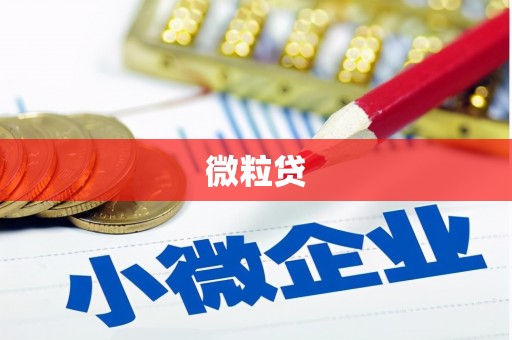 涵江微粒贷