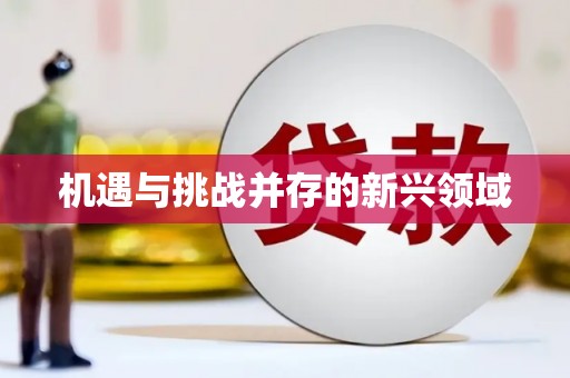 涵江机遇与挑战并存的新兴领域