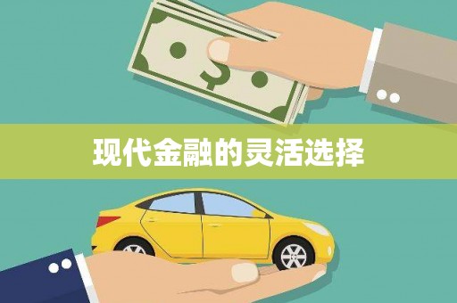 涵江现代金融的灵活选择
