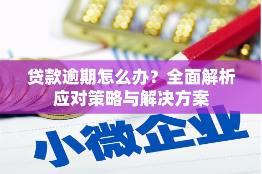 涵江贷款逾期怎么办？全面解析应对策略与解决方案