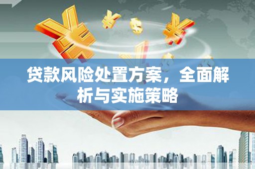 涵江贷款风险处置方案，全面解析与实施策略