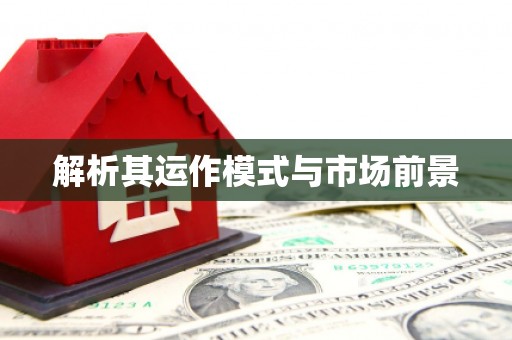 涵江解析其运作模式与市场前景