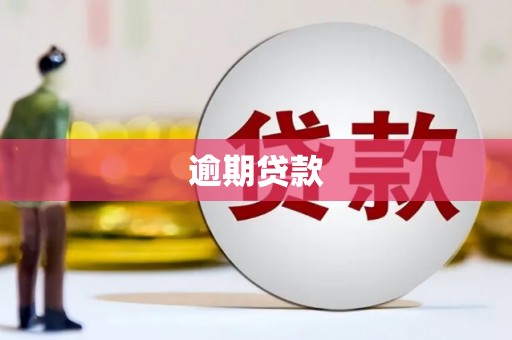 涵江逾期贷款
