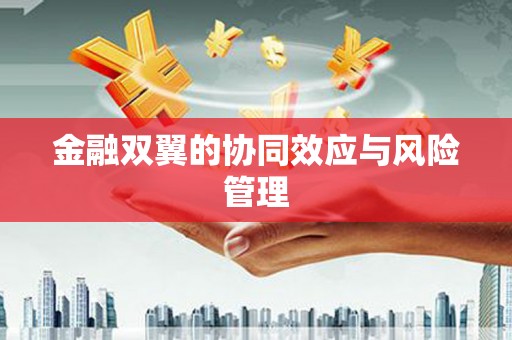 涵江金融双翼的协同效应与风险管理