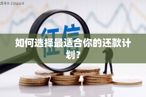 涵江如何选择最适合你的还款计划？