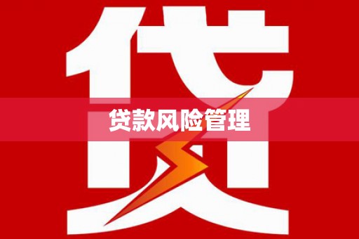 涵江贷款风险管理
