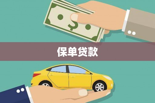 涵江保单贷款